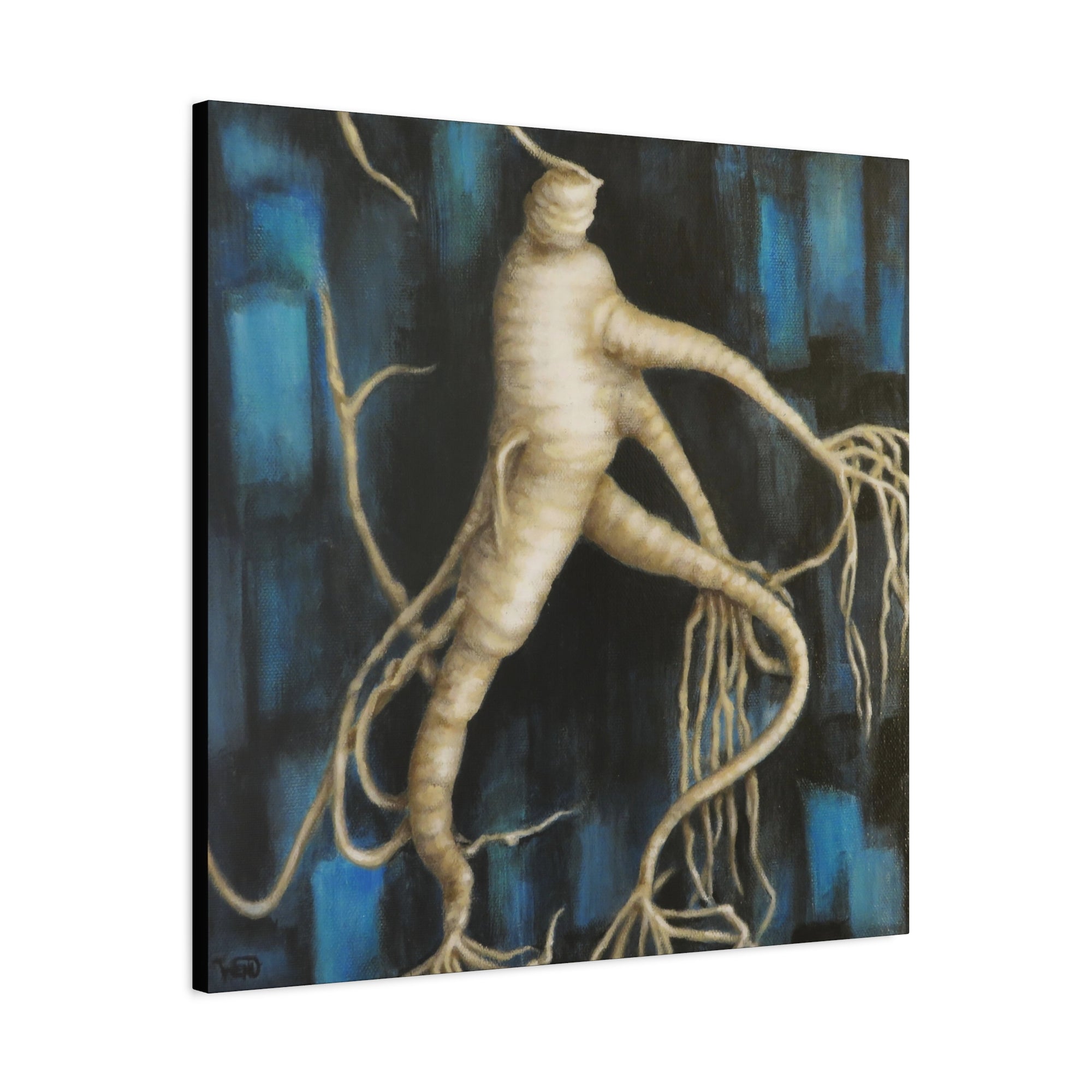 Manroot Cyan Stretched Canvas