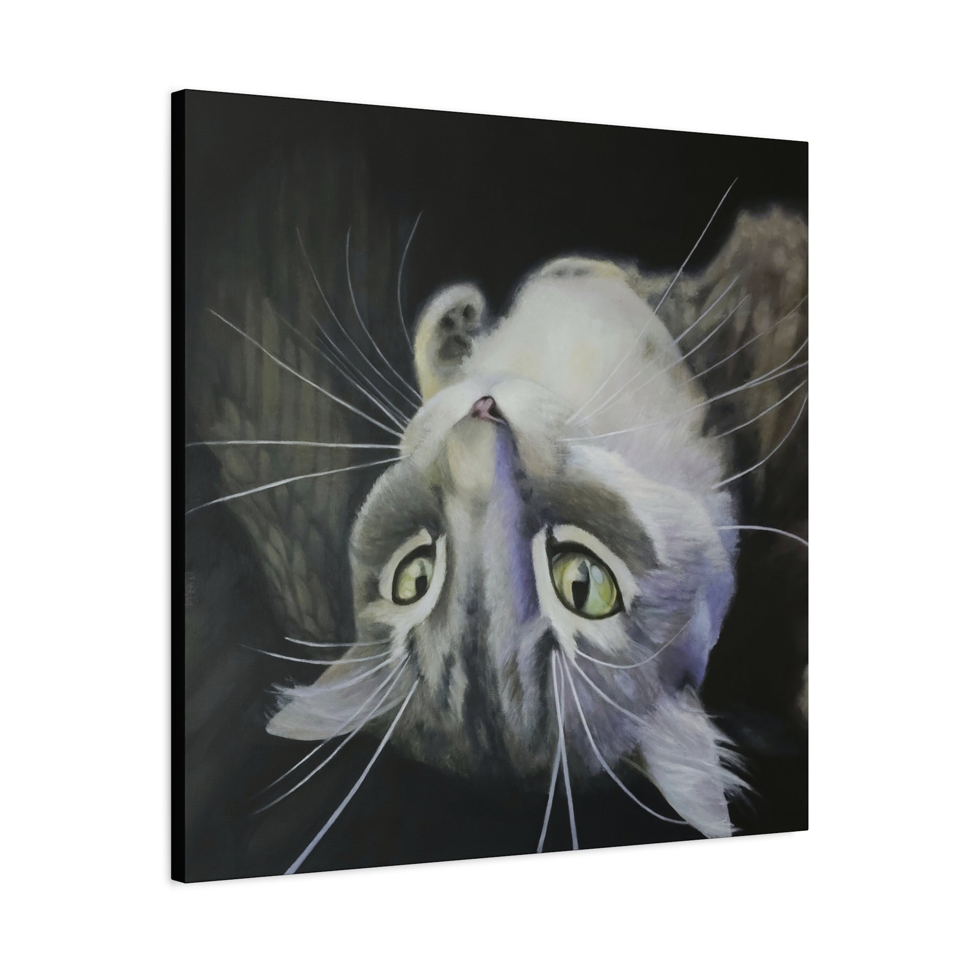 Jeep Stretched Canvas