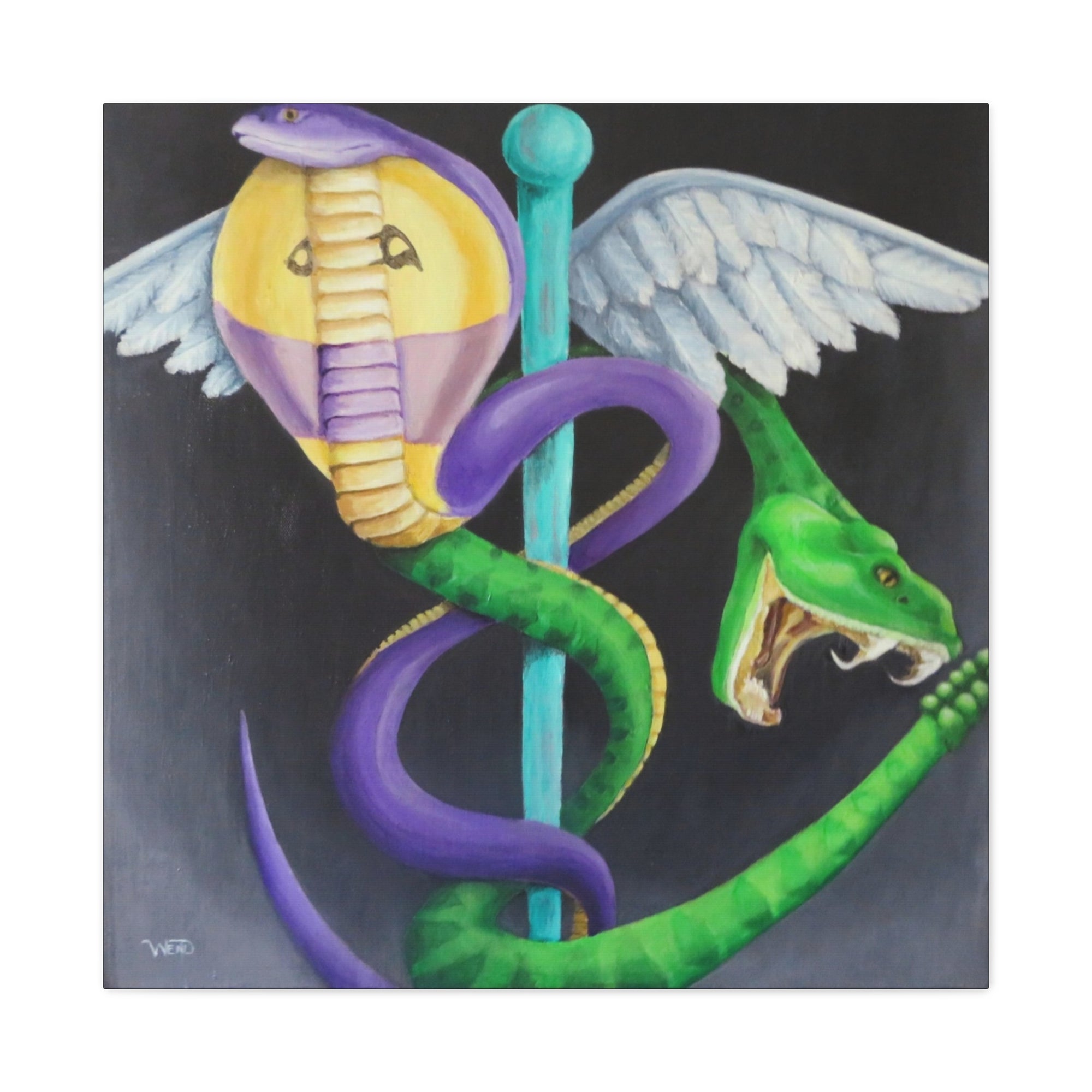 Caduceus Stretched Canvas
