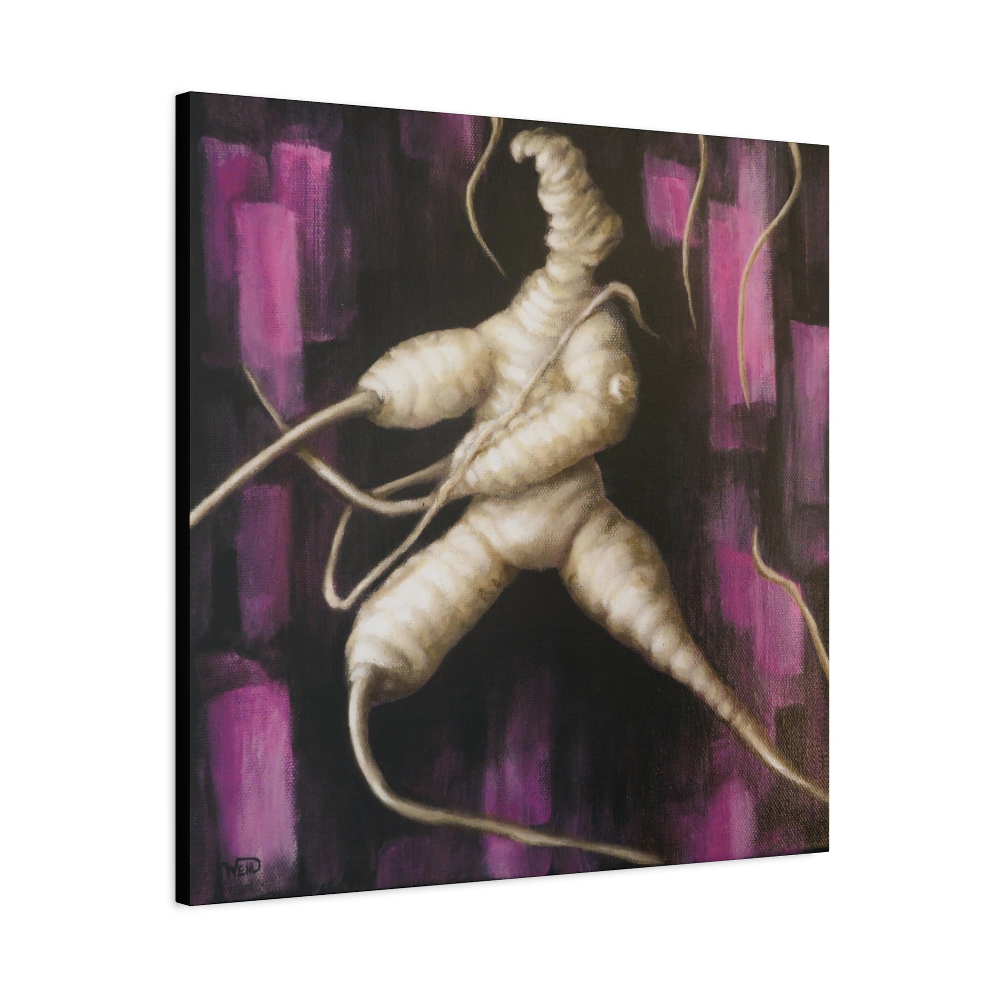 Manroot Magenta Stretched Canvas