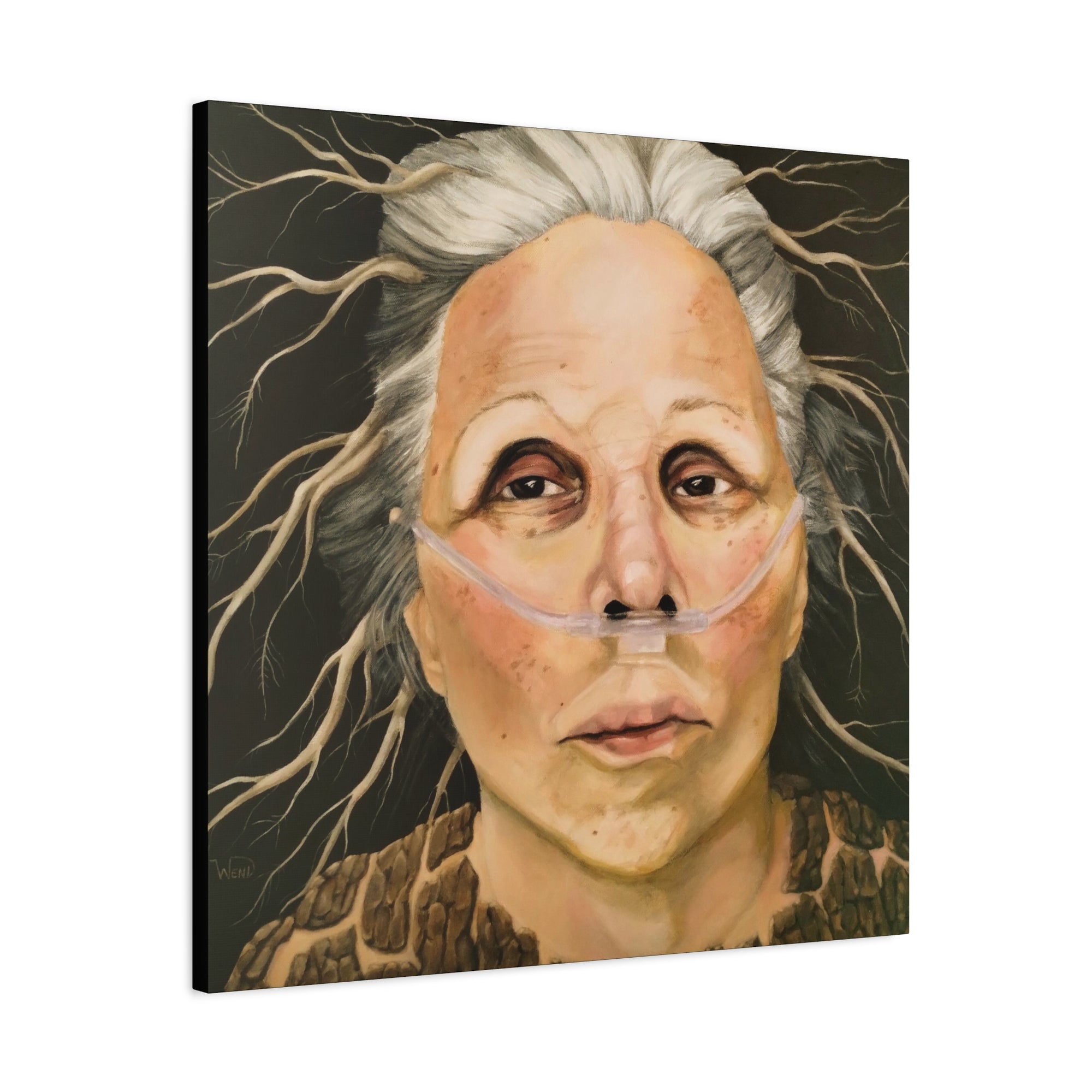 Cycle Stretched Canvas