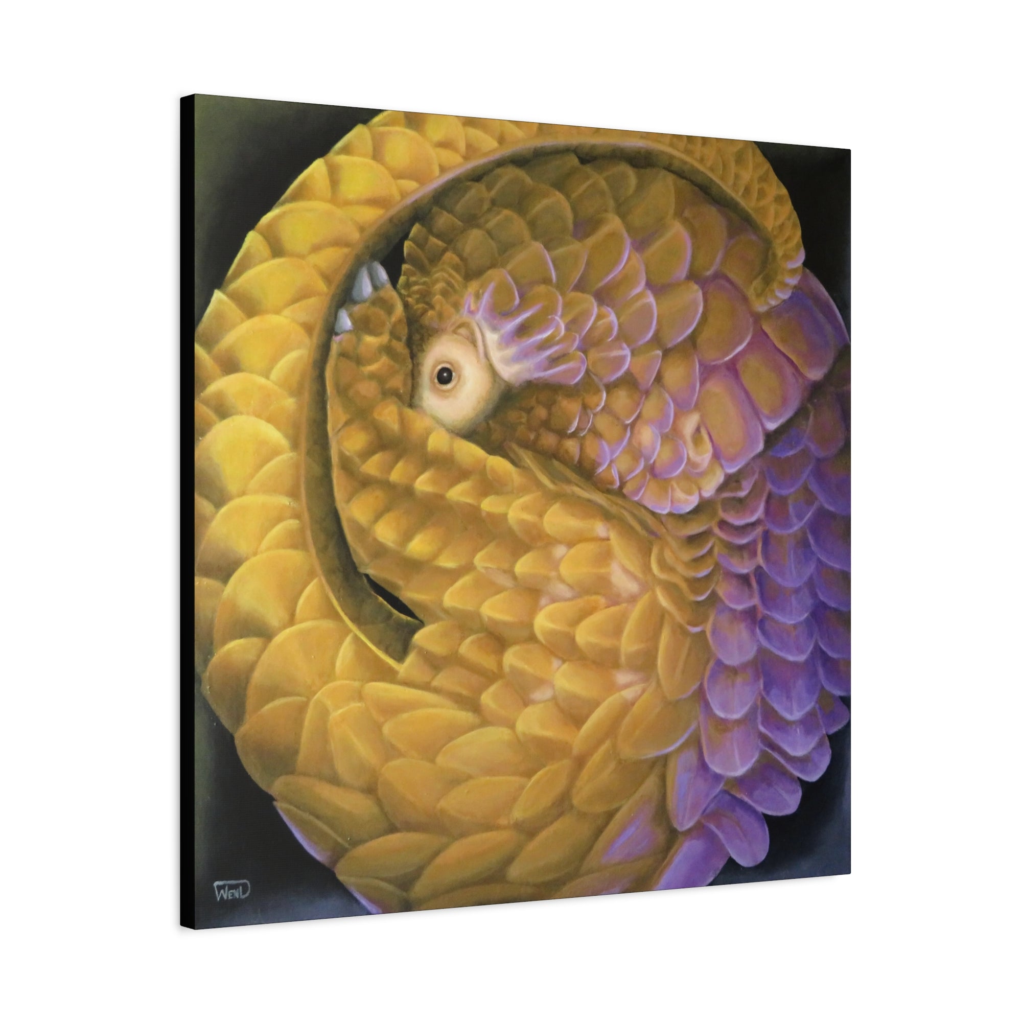 Yangolin Stretched Canvas