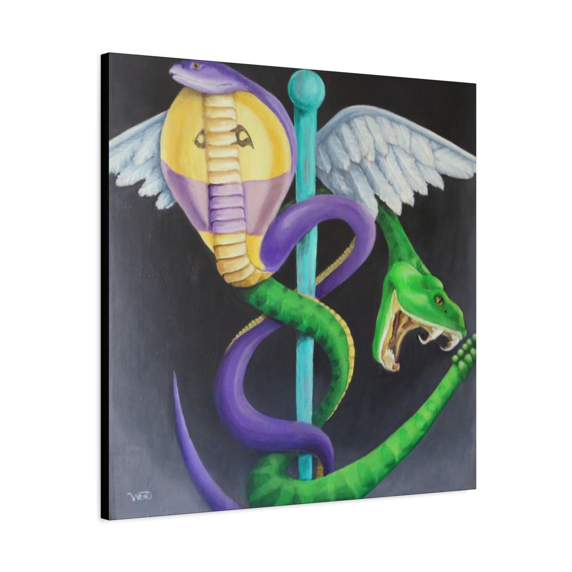 Caduceus Stretched Canvas