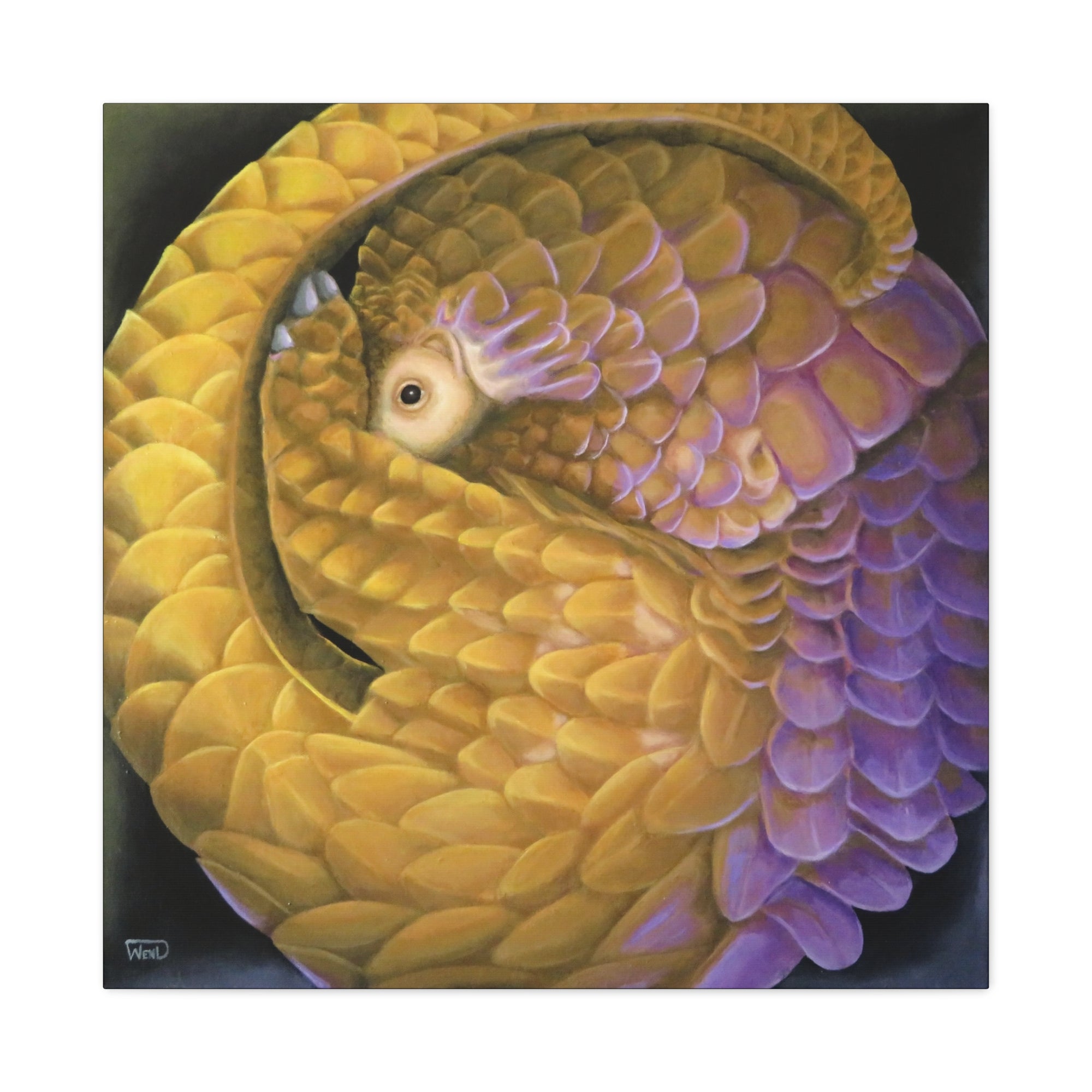 Yangolin Stretched Canvas