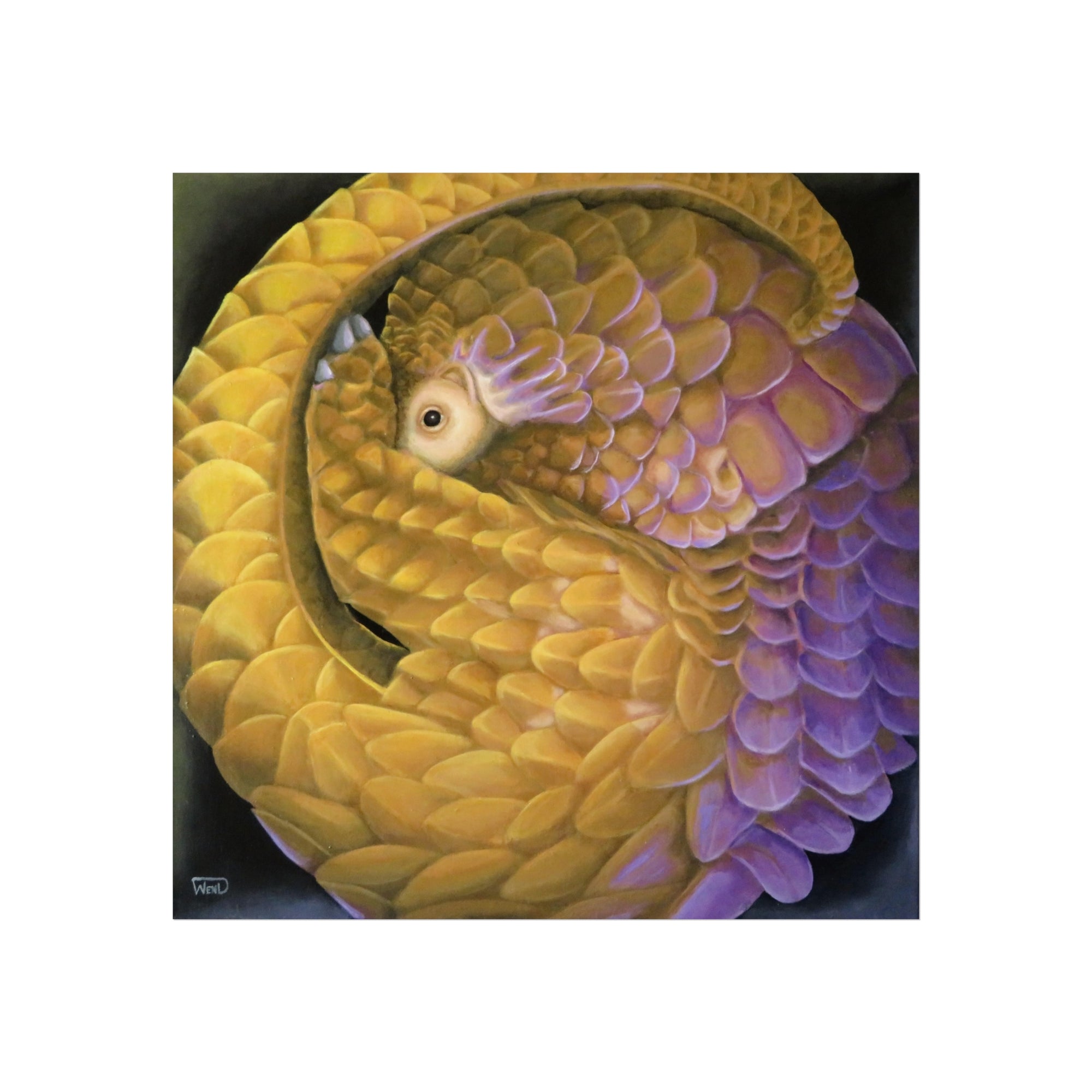 Yangolin print